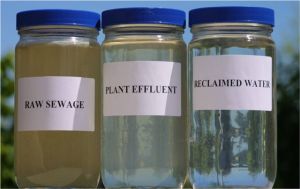 reclaimed_water_jars